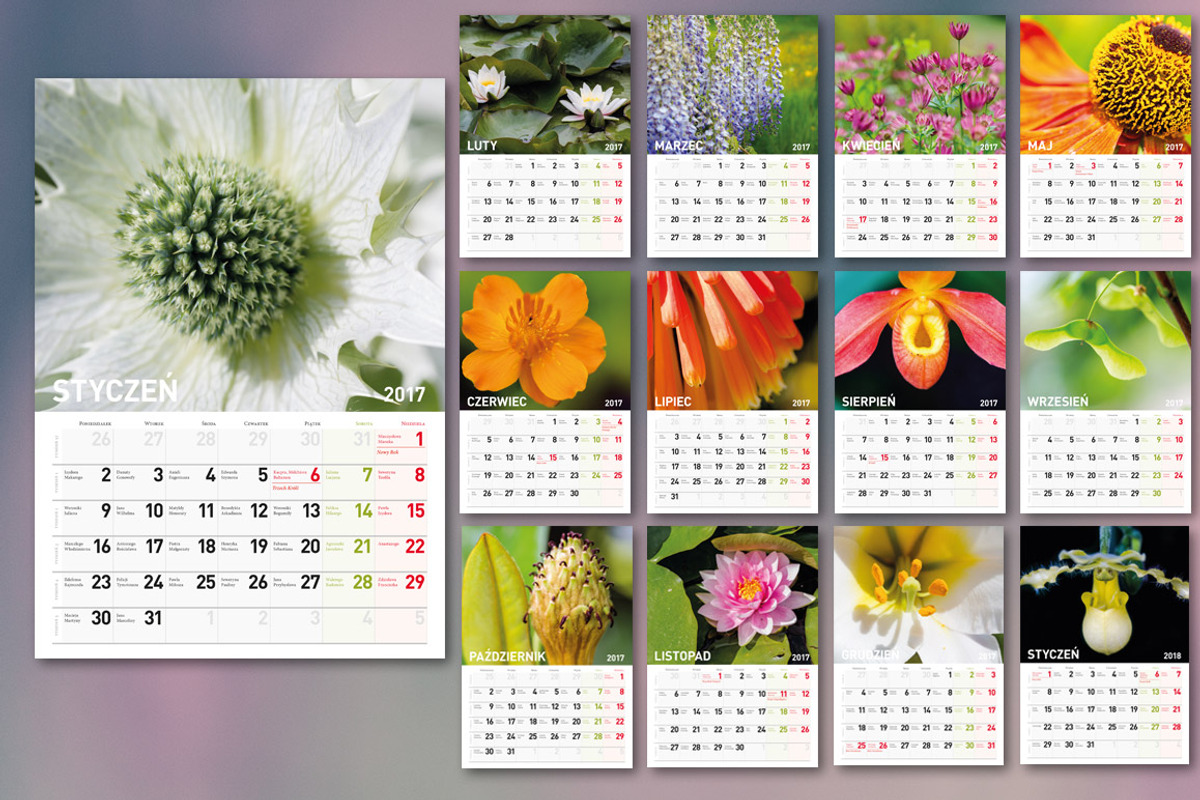 Calendar 2017 images included, a Brochure Template by Feelings (Photo 2 of 2)