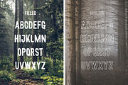 Wonderful Wilderness Font Duo, a Font by Salt & Pepper Designs (Thumbnail 6 of 8)