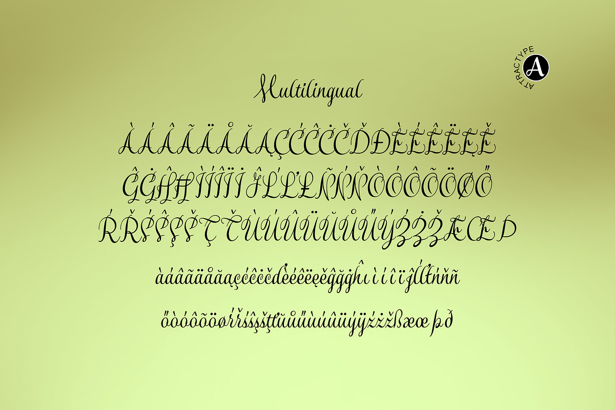 Smiling Moon - Modern script font, a Script Font by Attractype (Photo 7 of 9)