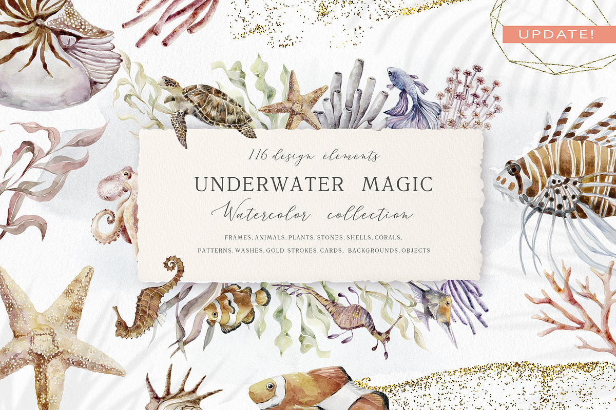 Underwater Magic. Marine Bundle., an Animal Illustration by Designwork (Photo 1 of 21)