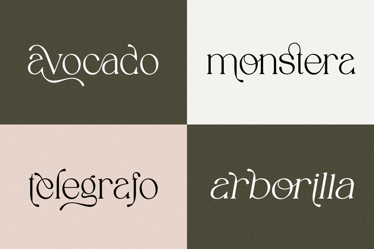 Spadore | 6 Font Files, a Serif Font by Pista Mova (Photo 7 of 18)