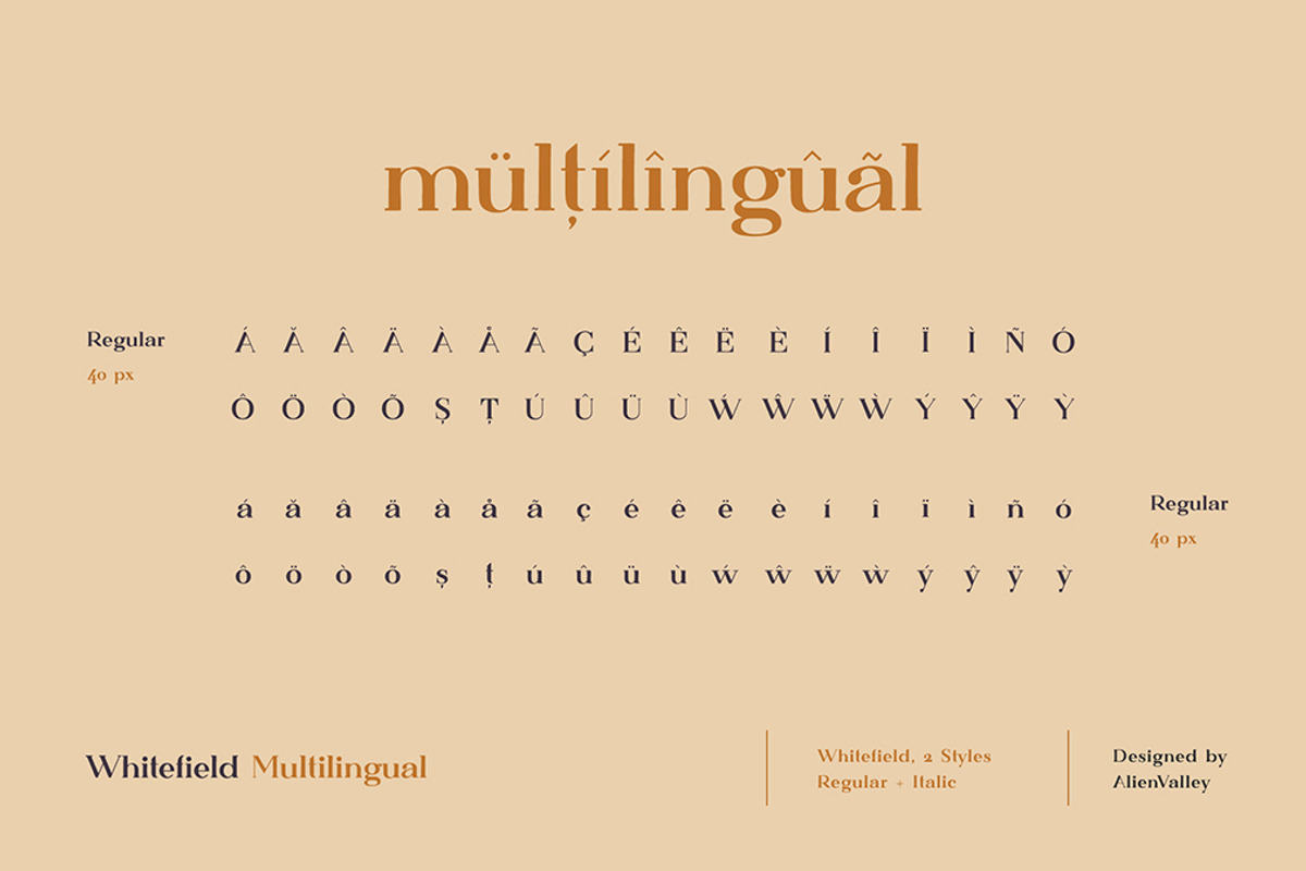 The Versatile Font Bundle, a Sans Serif Font by AlienValley (Photo 10 of 141)