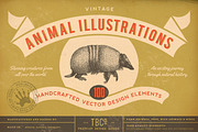 SALE! 100 Animal Illustrations, an Animal Illustration by Anja Kaiser (Thumbnail 1 of 4)