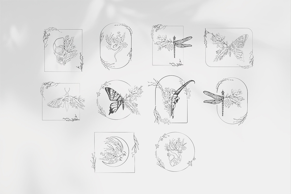 Botanical posters, a Decorative Illustration by Merfin (Photo 4 of 7)