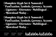 Brengthe Modern Editorial Serif, a Serif Font by timelesstype.co (Thumbnail 5 of 10)