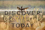 Monte Rosa, a Script Font by Affinity Grove (Thumbnail 9 of 18)