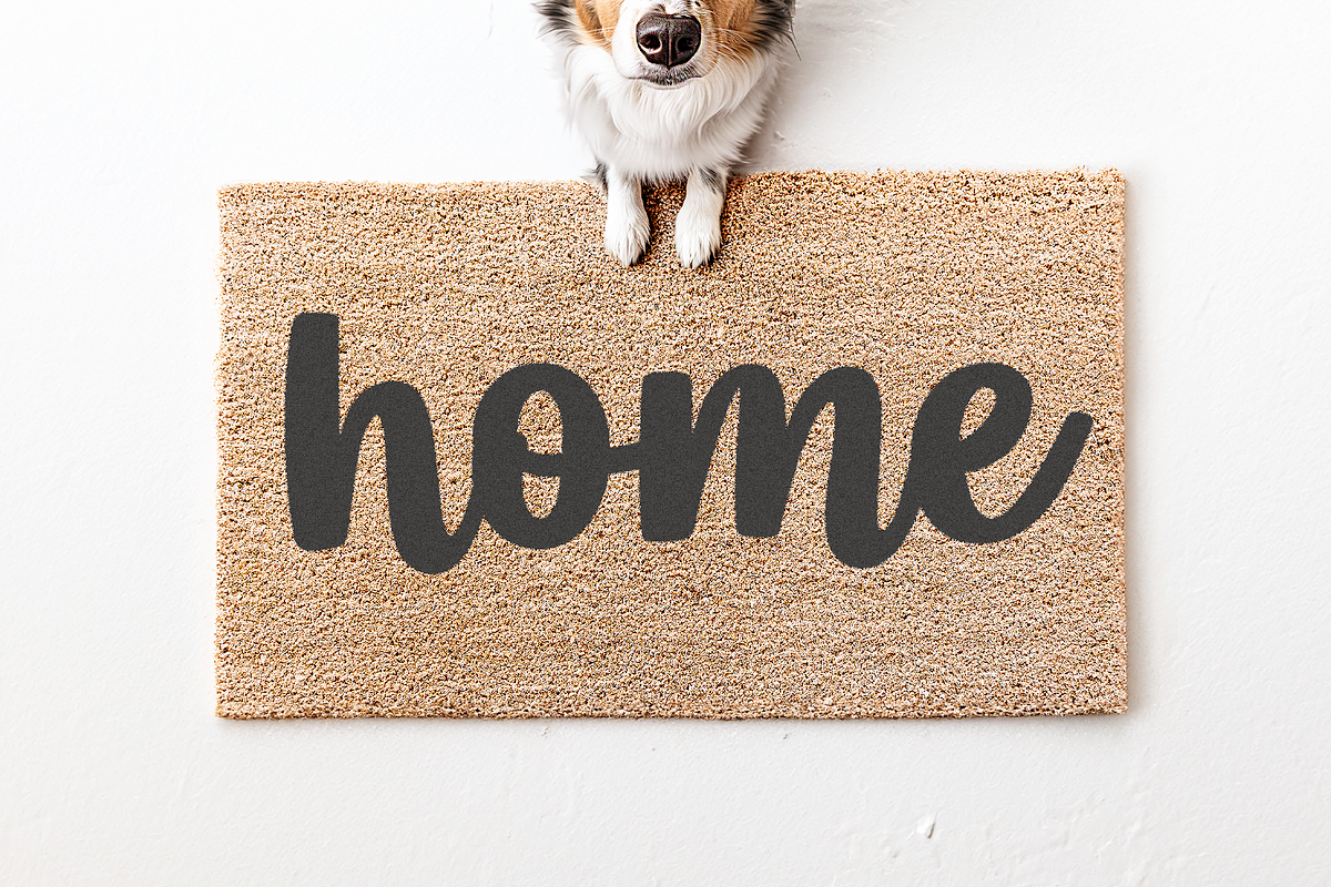 Bestie Club | Bold Script Font, a Script Font by KA Designs (Photo 9 of 10)