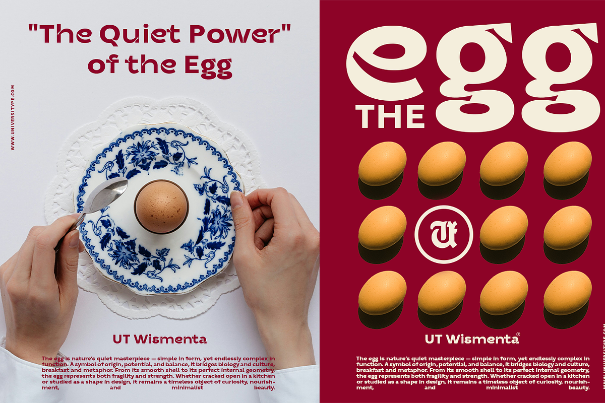 UT Wismenta - Extreme Inktrap Sans, a Sans Serif Font by Universitype (Photo 12 of 15)