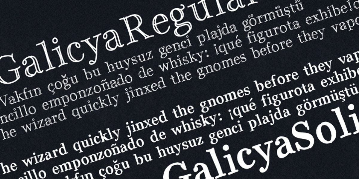 Galicya, a Serif Font by GRIN3 (Nowak) (Photo 1 of 3)