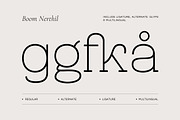 Boom Nerthil - Aesthetic & Modern, a Slab Serif Font by Fype Co. (Thumbnail 2 of 6)