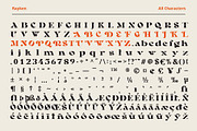 Rayken - Stylish Serif Font, a Serif Font by Craft Supply Co. (Thumbnail 12 of 12)