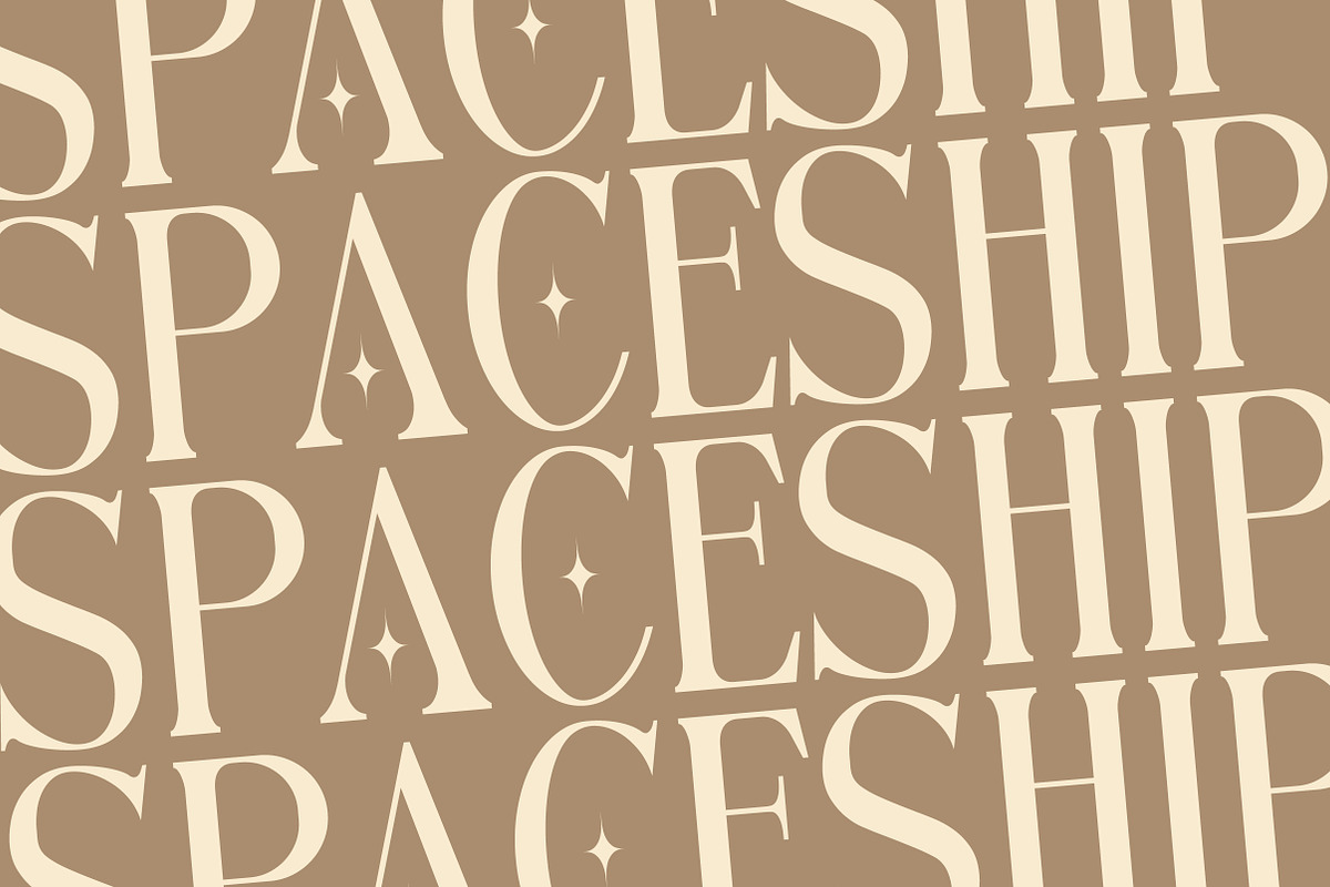 Anova a Elegant & Modern Serif, a Serif Font by Lettertype Studio (Photo 12 of 15)