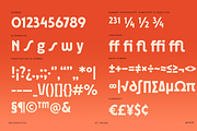 UT Insiga - A Condensed Sans, a Sans Serif Font by Universitype (Thumbnail 6 of 11)