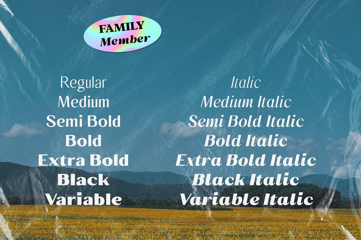 Behind The Nineties Sans 12 Fonts, a Sans Serif Font by Casloop Studio (Photo 2 of 10)