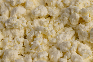 lumps of freshly made fermented milk product cottage cheese,, a Photo by rsoollAI