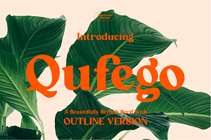 Qufego Stylish Serif Font