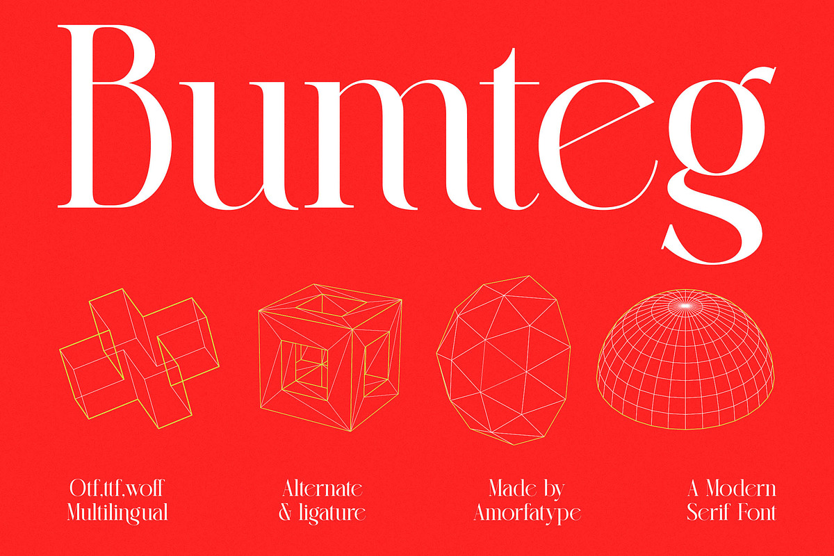 Bumteg A Modern Serif Font, a Serif Font by AmorfaType (Photo 1 of 11)
