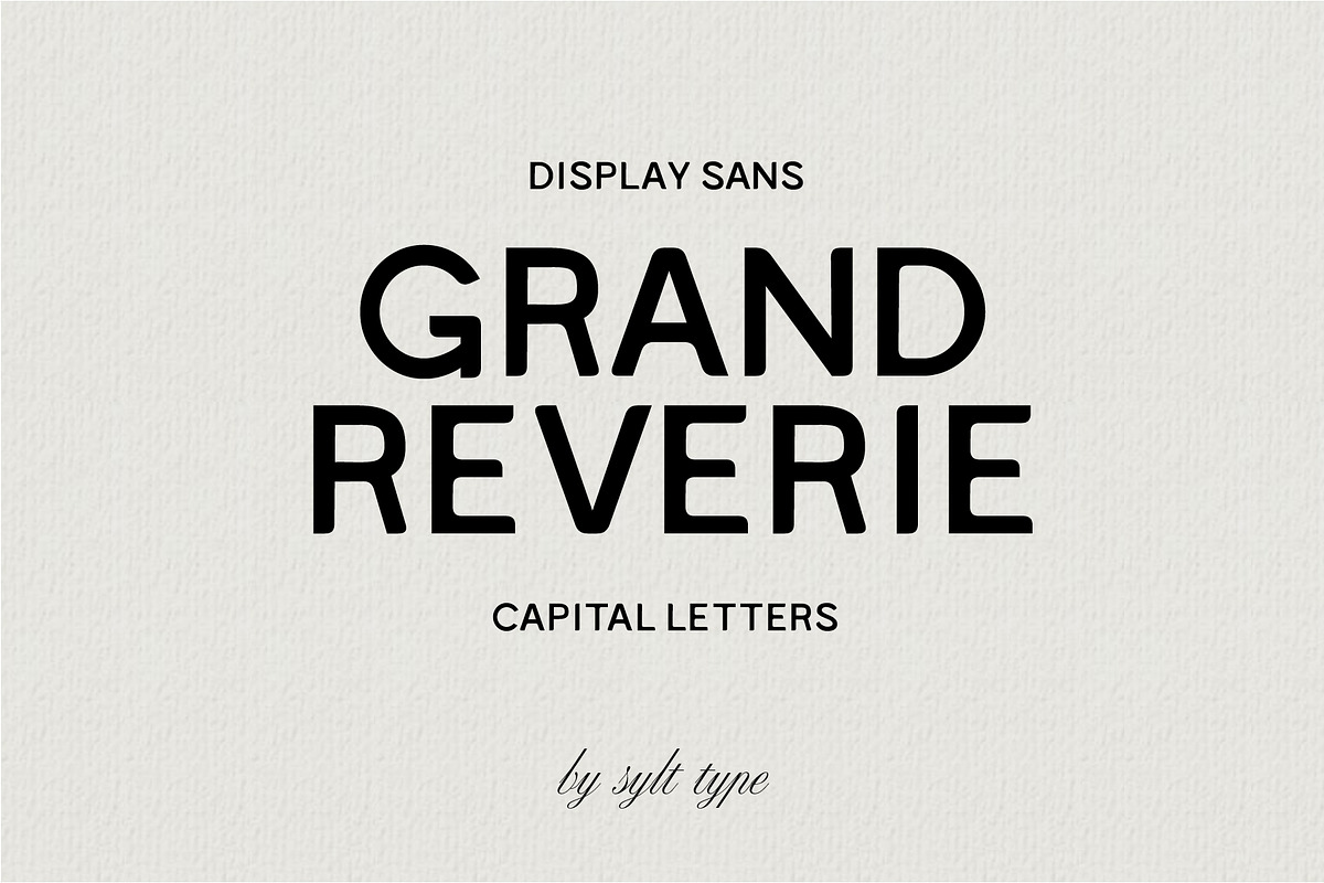 Grand Reverie Display Font, a Sans Serif Font by Sylt Type (Photo 1 of 6)