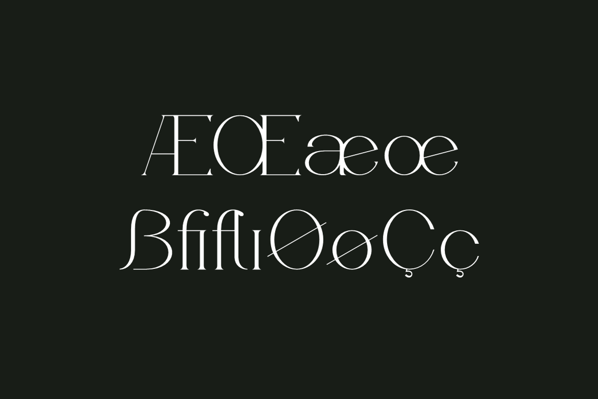 Acageto - Modern Luxury Font, a Serif Font by QR Design Studio (Photo 16 of 16)