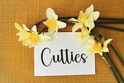 Summer Delight, a Handwritten Font by FreshTypeINK (Thumbnail 6 of 8)