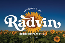 Radvin – Bold Retro Display Font