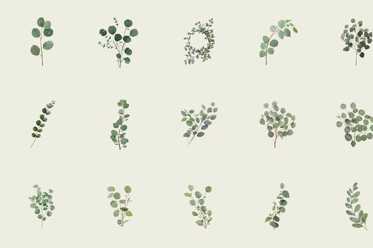 60 Watercolor Eucalyptus PNG Clipart, a Graphic by Graphicspixel (Photo 2 of 10)