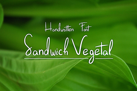 Sandwich Vegetal