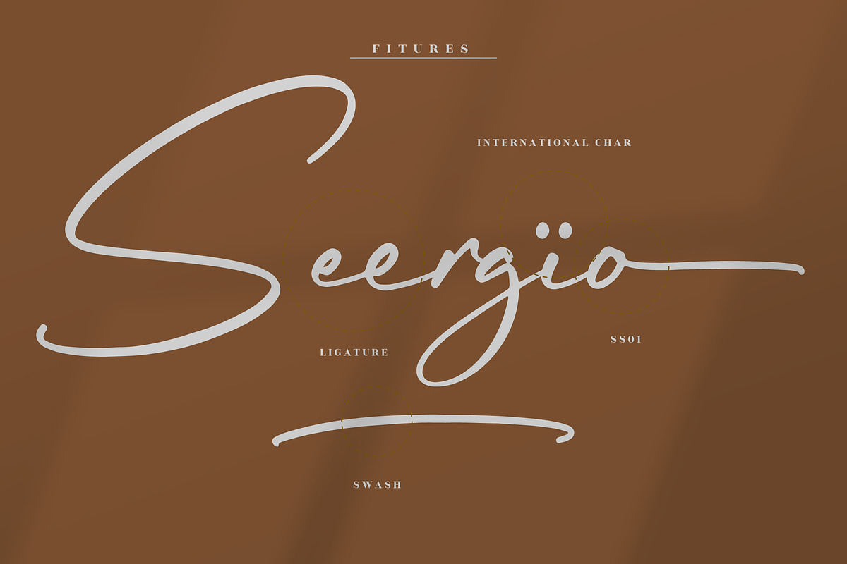 Rundreams Signature Modern Signature, a Script Font by Letterena Studios Script (Photo 12 of 15)