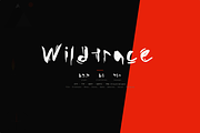 Wildtrace — Handwritten Display Font, a Handwritten Font by Lettra Studio (Thumbnail 12 of 12)