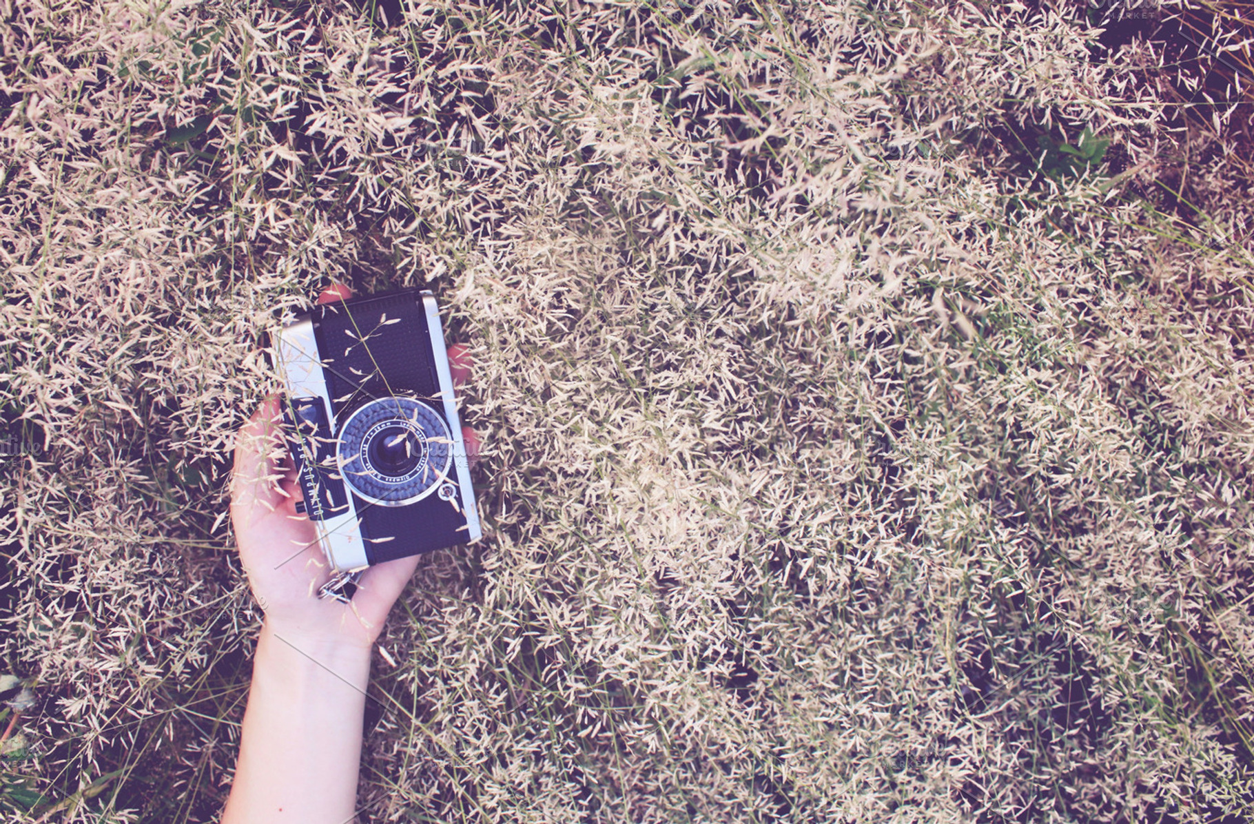 Relaxing on grassland with camera