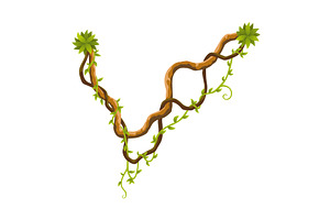 Liana branch. Twisted wild jungle, an Object Illustration by the8monkey