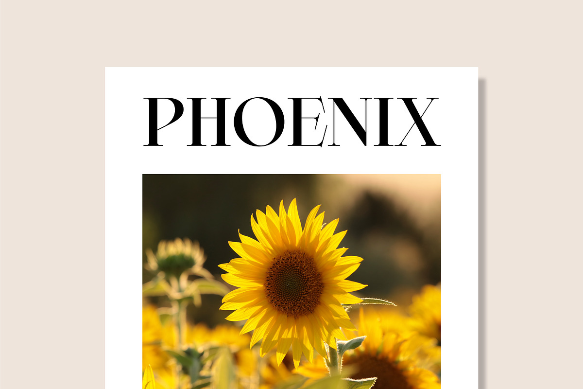 Averie Brenton - Serif Font Family, a Serif Font by Grezline Studio (Photo 4 of 12)