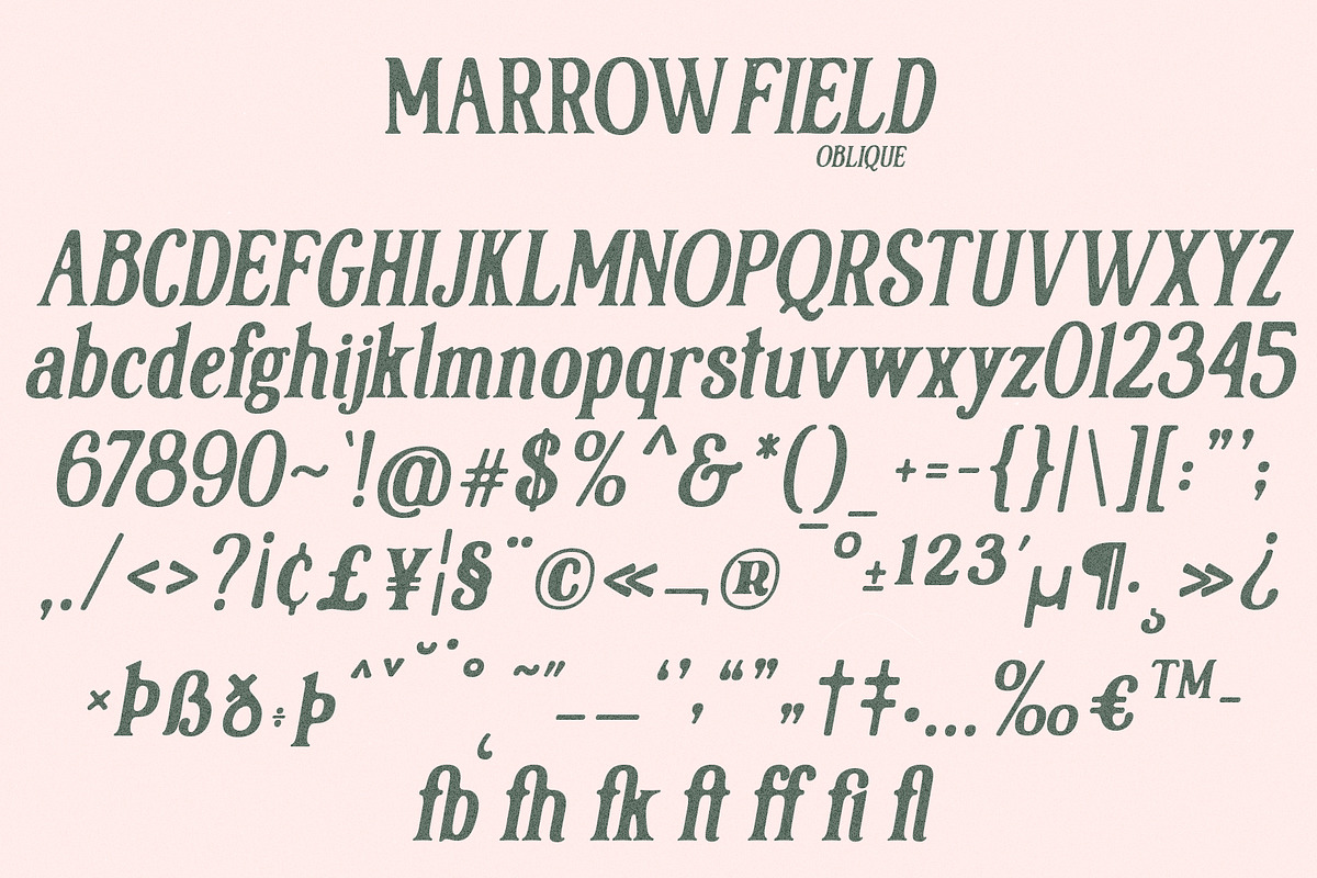 Marrowfield, a Serif Font by deadlock studio (Photo 8 of 9)