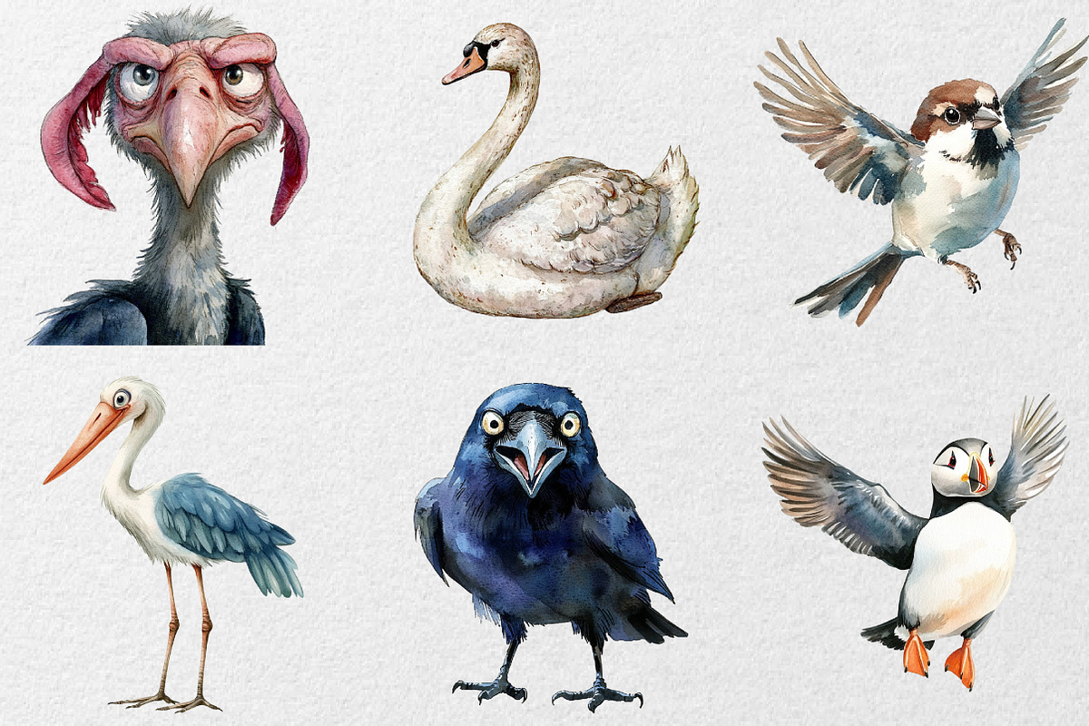 Funny Birds Collection Clipart, an Animal Illustration by DreamCafeArt (Photo 6 of 7)