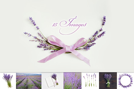 lavender set