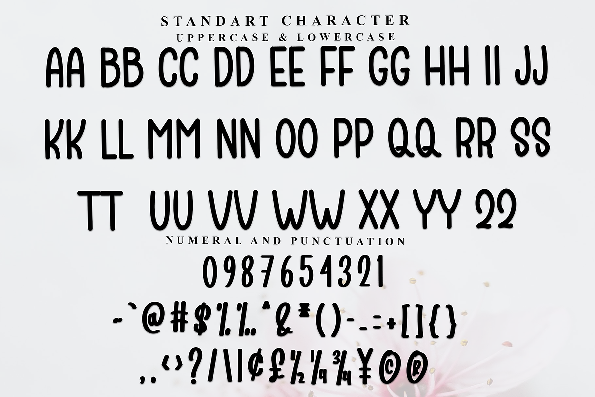 Paper Cloud, a Script Font by InermediaSTUDIO (Photo 3 of 6)