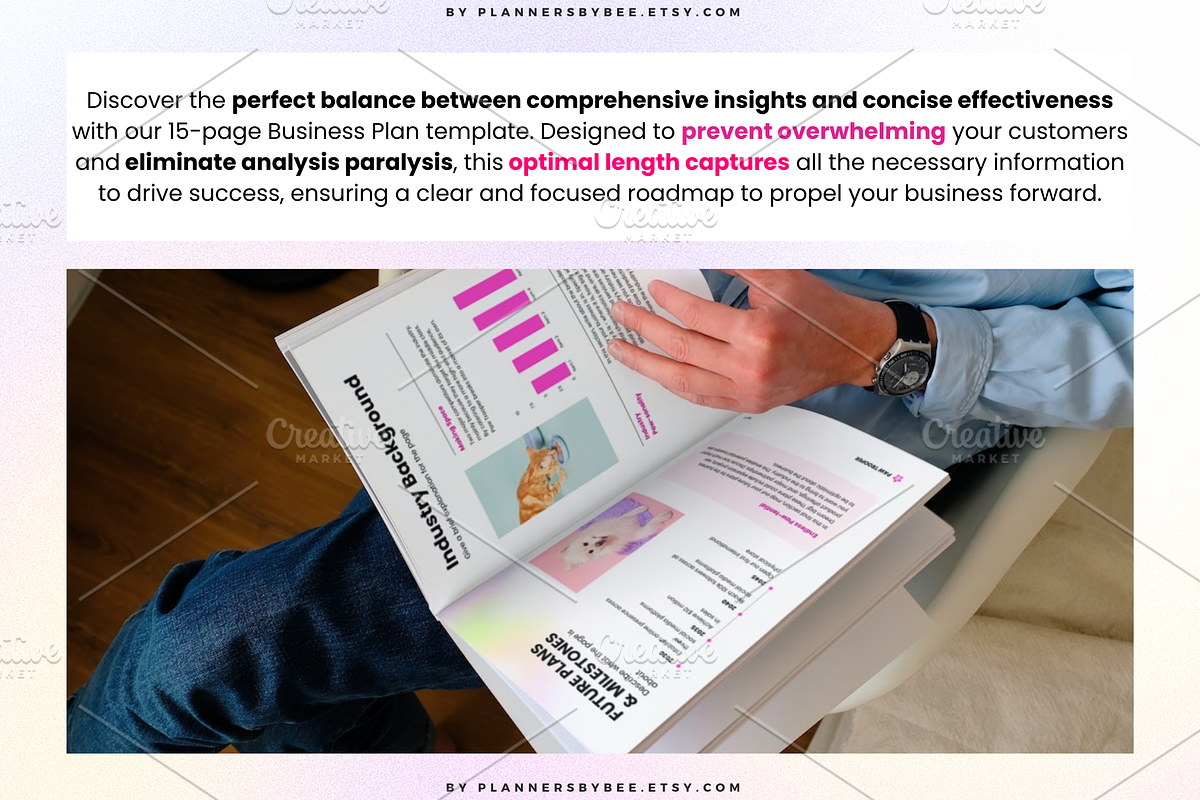 Business Plan Template, Pitch Deck, a Print Template by PlannersByBee (Photo 3 of 3)
