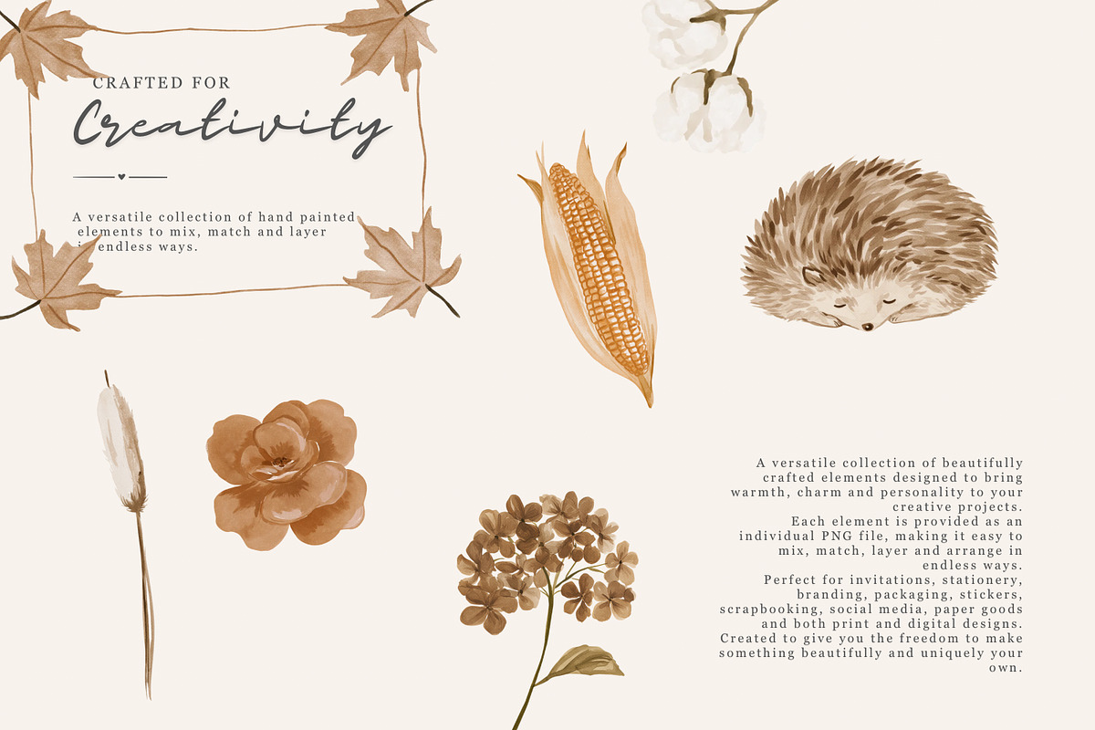 autumn woodland clipart collection, a Decorative Illustration by Patishop Art (Photo 9 of 9)