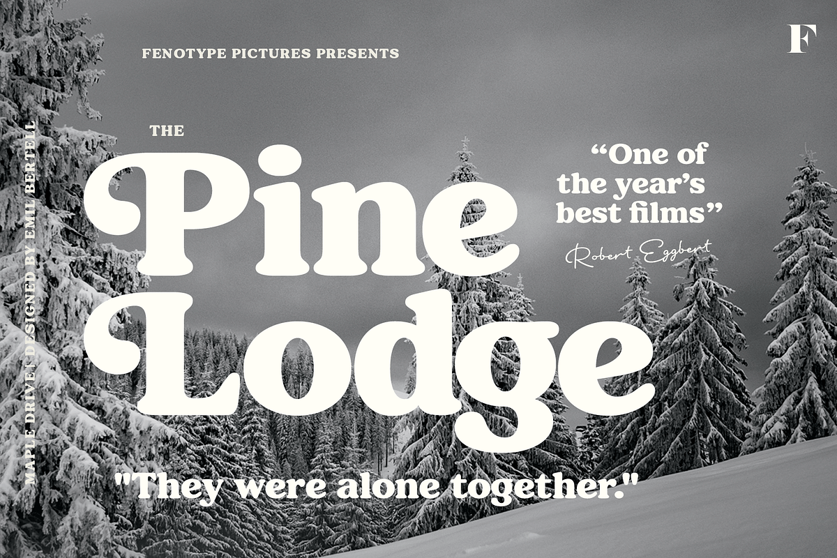 Maple Drive Retro Typeface, a Serif Font by Fenotype (Photo 13 of 13)