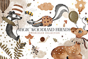 Magic Woodland Friends Collection, an Animal Illustration by Pati Paints (Thumbnail 1 of 19)