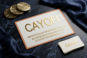 Cayofi | Elegant Luxury Serif, a Serif Font by Astuti Studio (Thumbnail 17 of 24)
