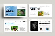 Wildlife Presentation Template, a Presentation Template by MightyDesign (Thumbnail 2 of 8)
