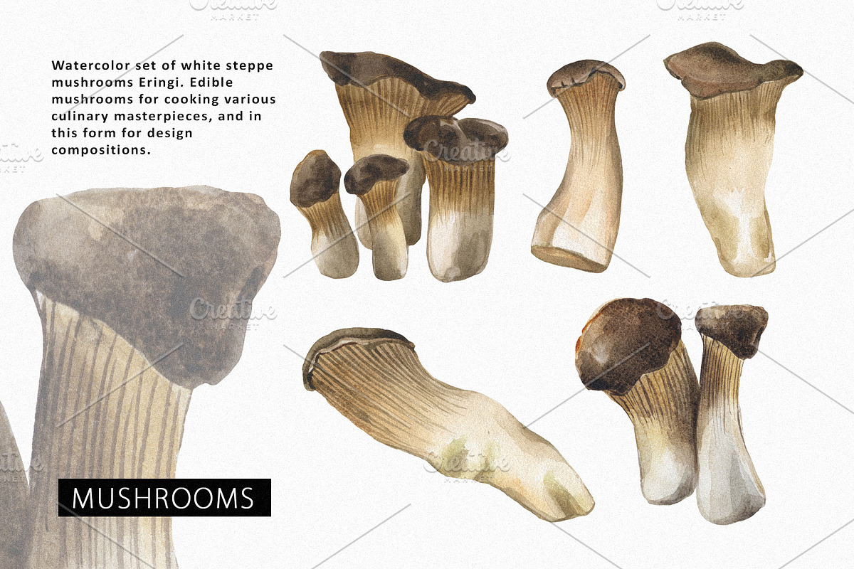 Watercolor Farm, an Object Graphic by Design X0 (Photo 6 of 10)