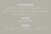 Bowsinge - A Beauty Modern Serif, a Serif Font by Muflieart (Thumbnail 9 of 10)