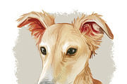Most Popular Dog Breeds Pet Portrait, an Animal Illustration by Dneprstock (Thumbnail 18 of 23)