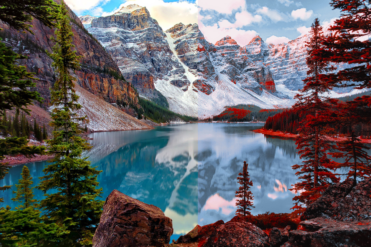 454 Infrared Fantasy Pro LUTs, a Preset Add-On by ShutterPro (Photo 45 of 48)