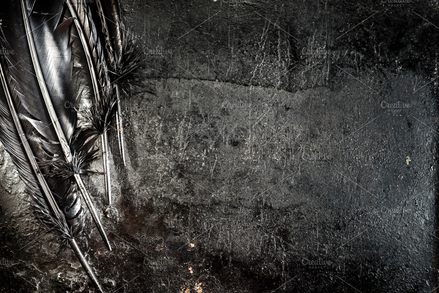 Halloween background raven feather, an Abstract Photo by hitdelight