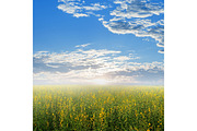 50 Fields background Set 01, a Texture Graphic by FWStudio (Thumbnail 6 of 13)