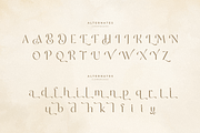 Rainfall - Elegant Display Font, a Sans Serif Font by Sensatype (Thumbnail 14 of 16)