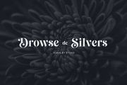 Cheva Display Serif Font, a Sans Serif Font by Letteralle Studios (Thumbnail 4 of 9)